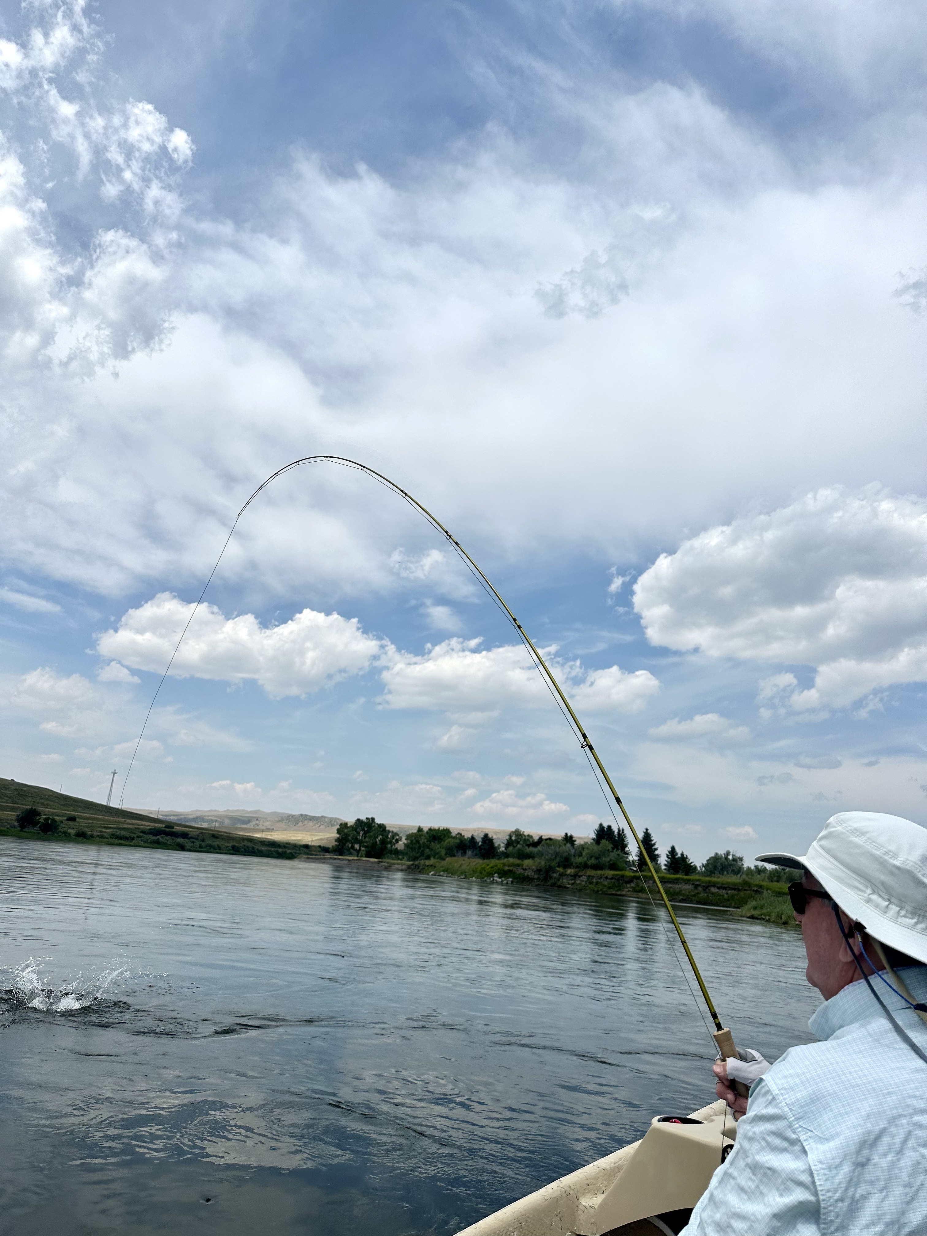 Dry Fly Fishing Paradise