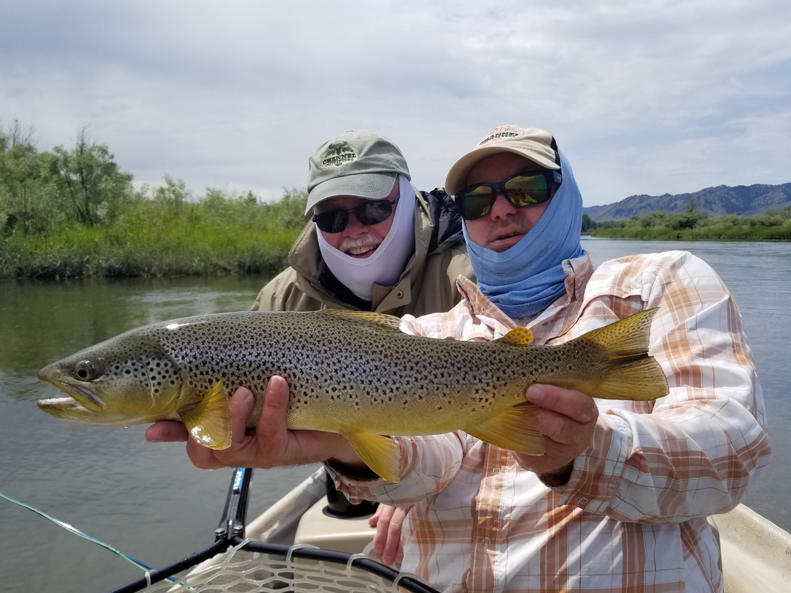 Missouri River Fishing Report: As the river goes down, fish are lookin' up
