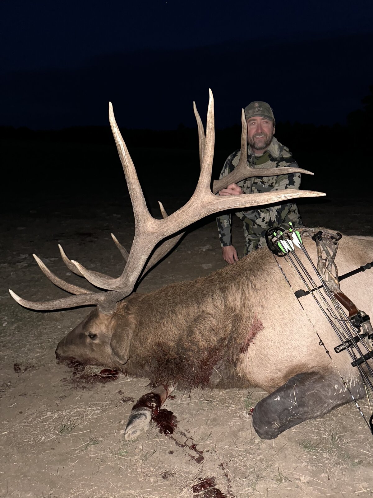 Elk archery hunt Montana