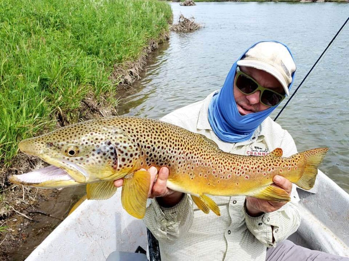 Lindsey with large brown trout on Missouri River